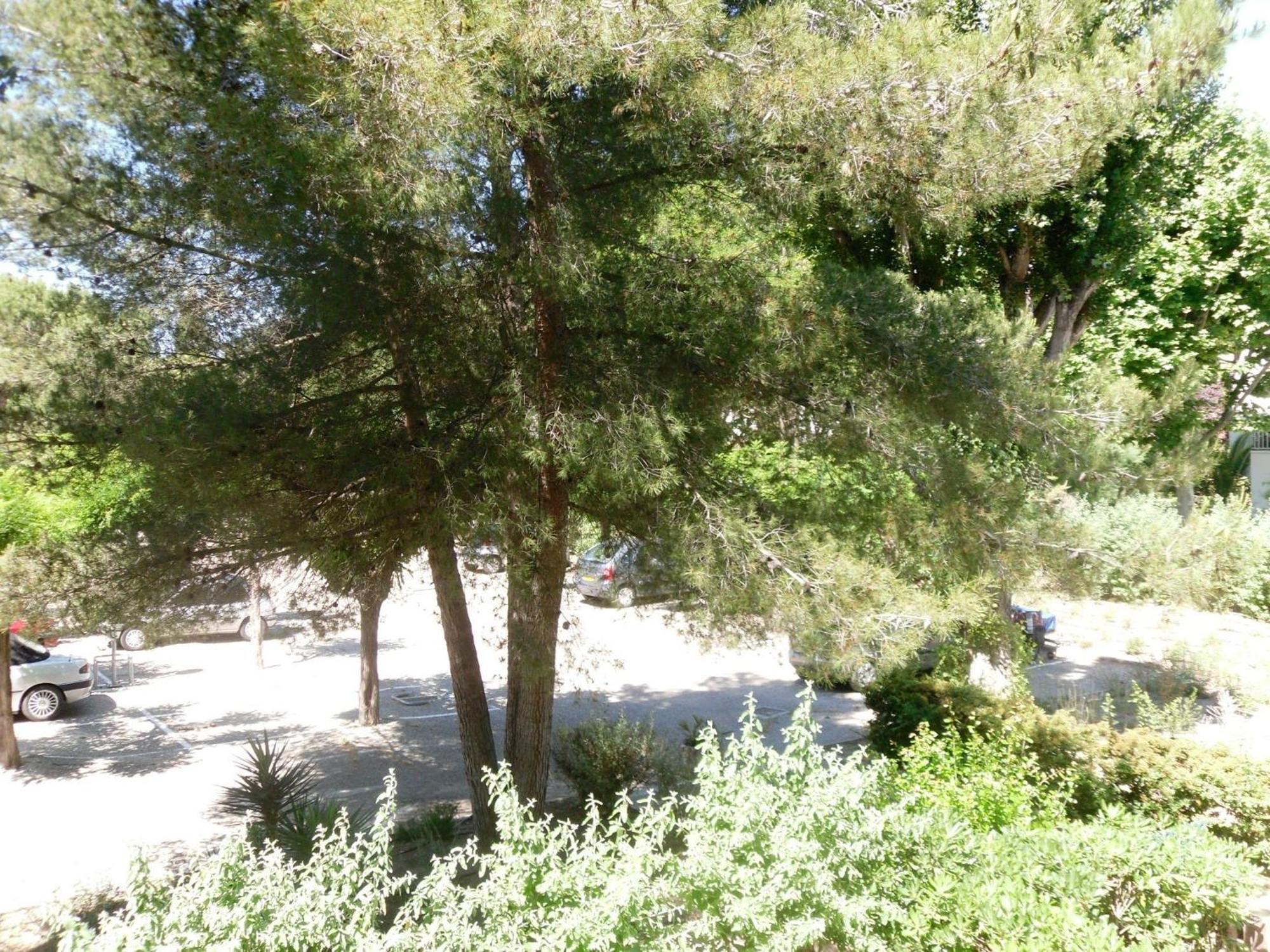 Vittoria Immobilier 1-Reglement Sur Place - Cheques Vacances Acceptes La Grande-Motte Quarto foto